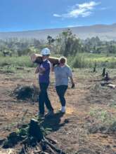 Ineligible Debris Removal