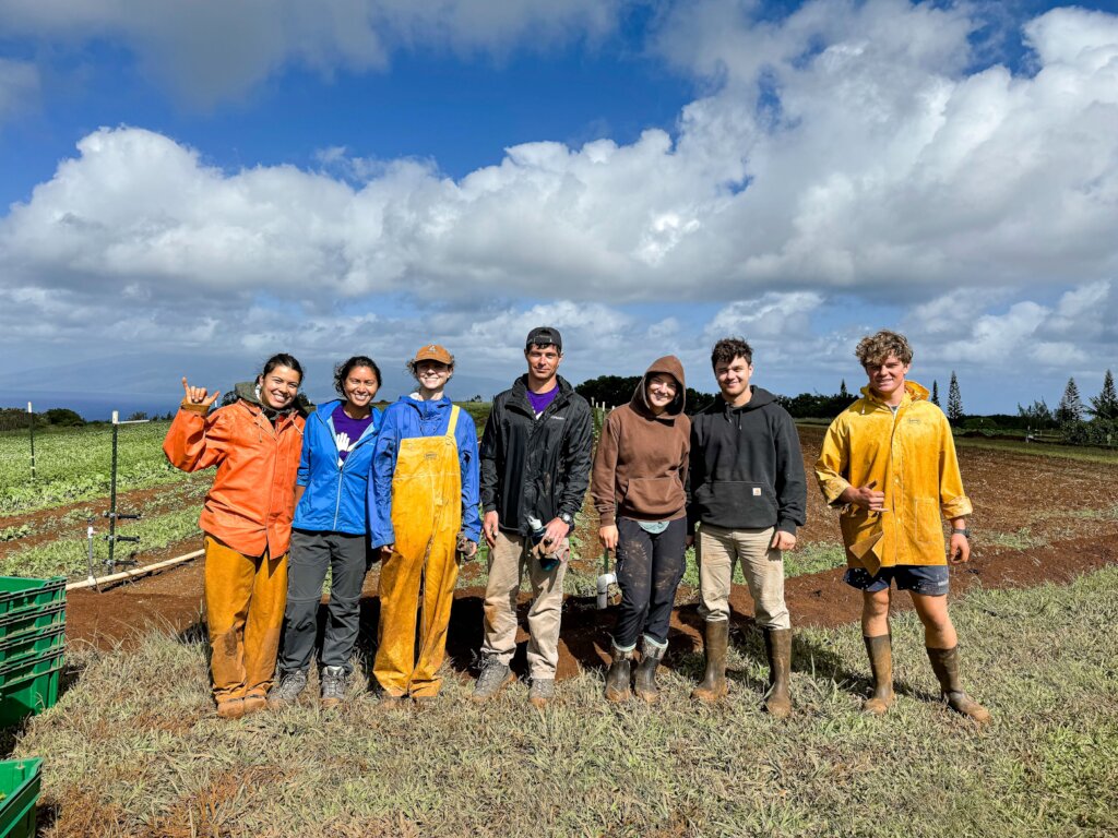 Support the Spirit of Aloha - Help Maui Recover