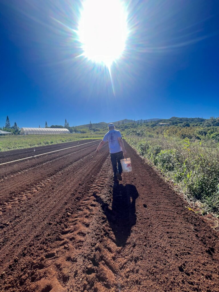 Support the Spirit of Aloha - Help Maui Recover