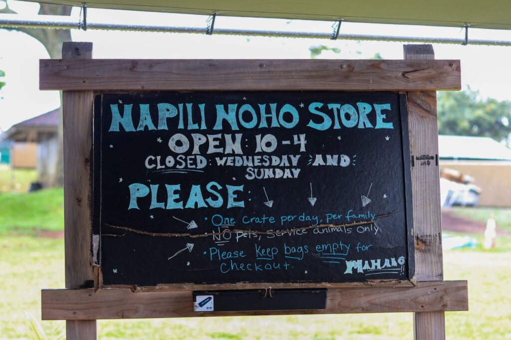 Support the Spirit of Aloha - Help Maui Recover