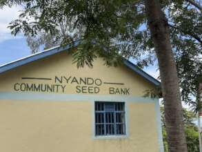 Climate solution: conflict-affected region, Kenya