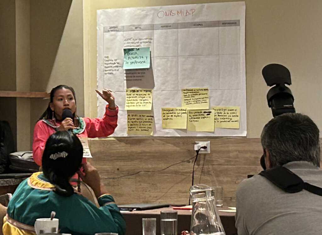 NBSAP workshop, 2024