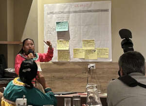 NBSAP workshop, 2024