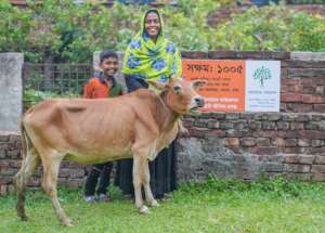 Empowering Women Entrepreneurs: Microfinance Fund