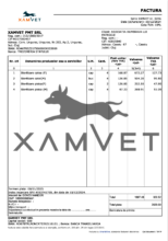 Invoice Xamvet December