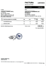 Invoice Yodavet December