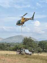 Rescue of Nguni