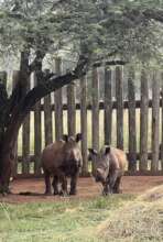 Abbey & Nguni in the new Juvenile High Care Unit
