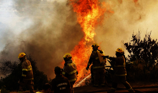 Hope for El Olivar: Let's Reforest Together