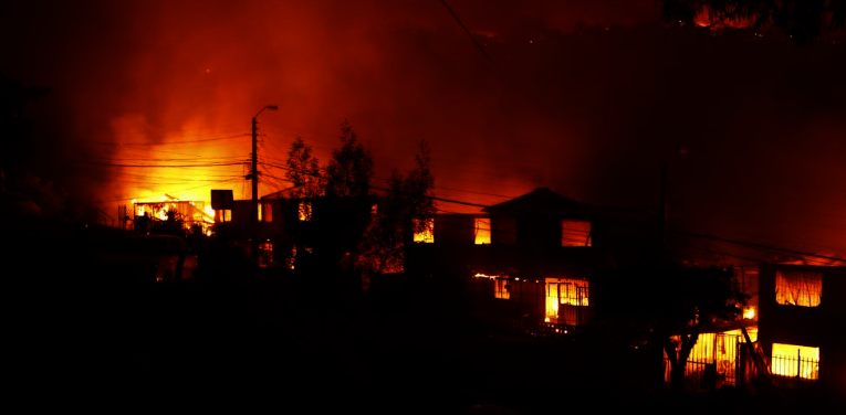 Hope for El Olivar: Let's Reforest Together