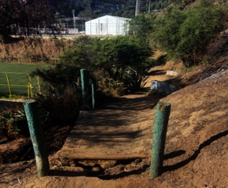 Hope for El Olivar: Let's Reforest Together