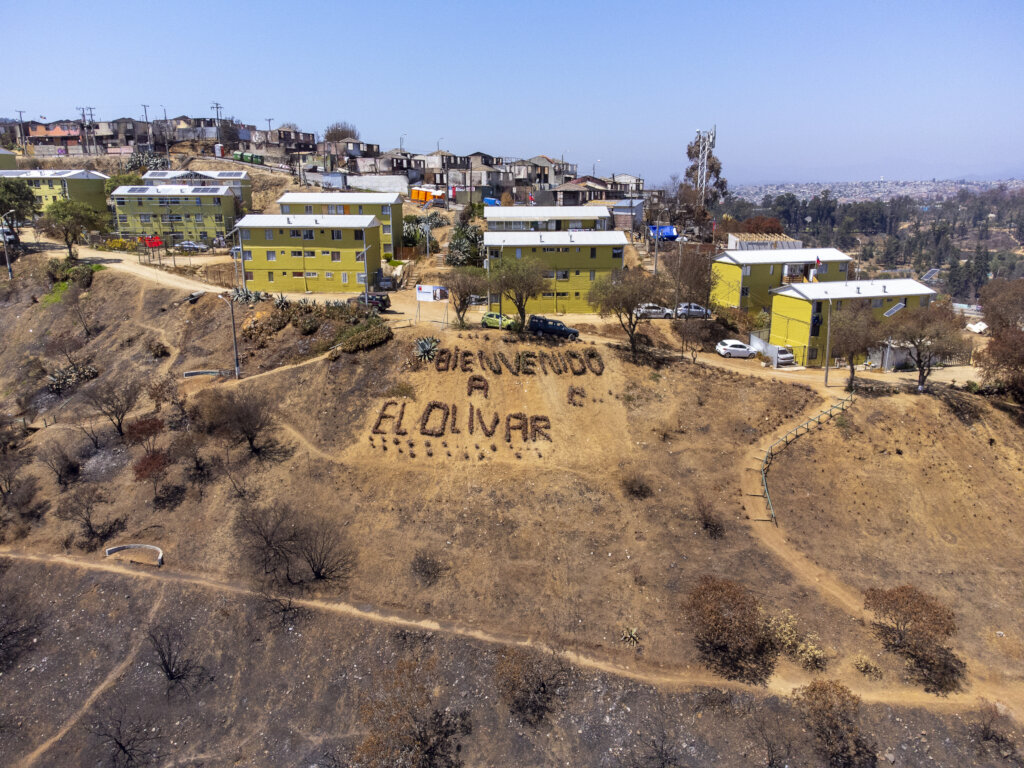 Hope for El Olivar: Let's Reforest Together