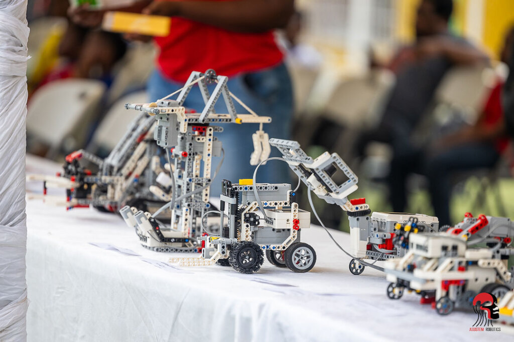 "Catch Them Young" Project - STEM Education