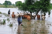 Emergency Relief For Flood Affected People