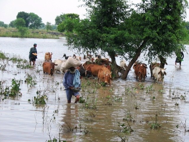 Emergency Relief For Flood Affected People