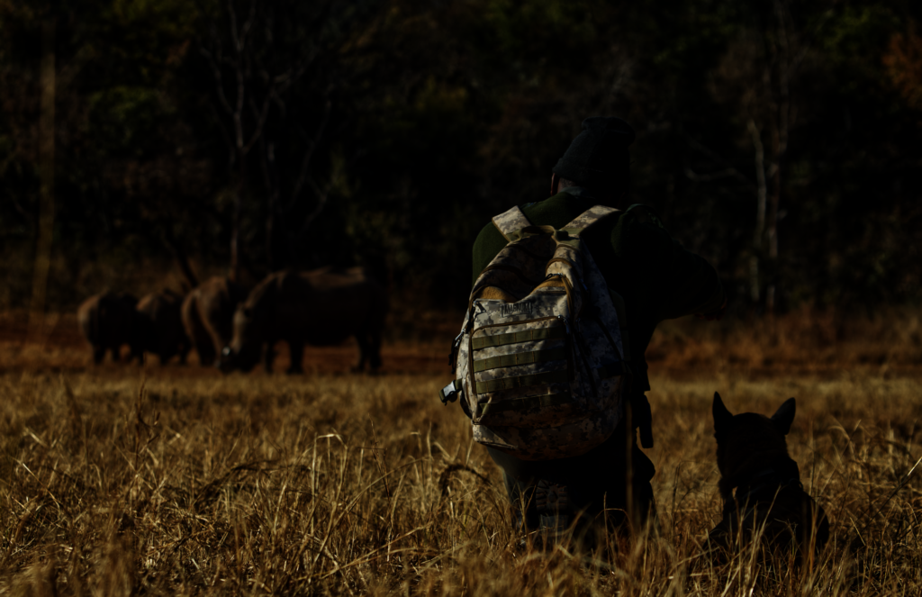 Support Rangers Protecting Endangered Species