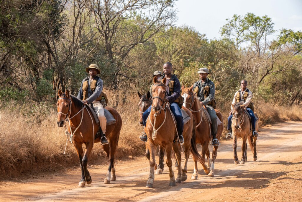 Support Rangers Protecting Endangered Species