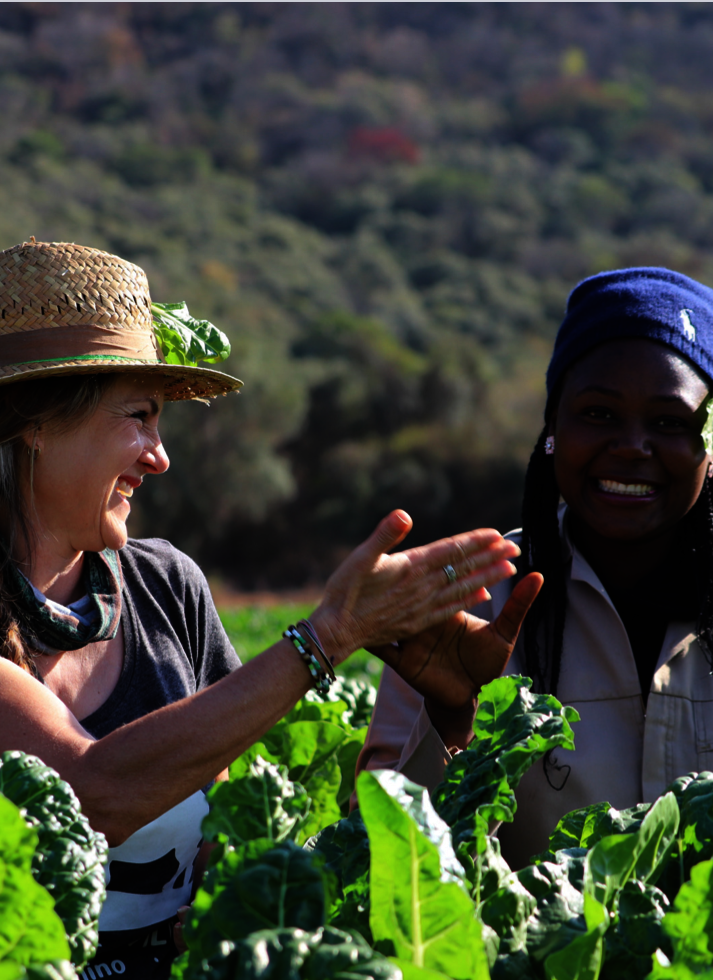 Harvesting Hope: Lomshiyo Community Farm