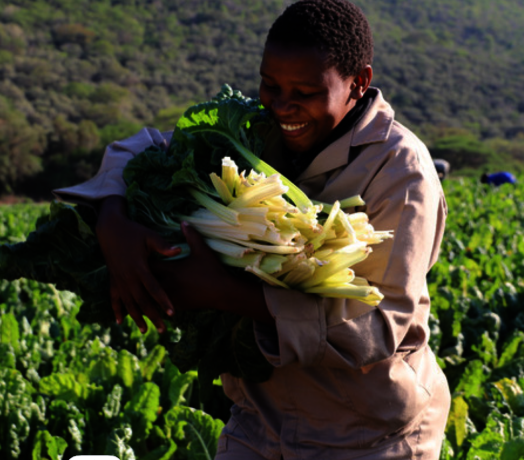 Harvesting Hope: Lomshiyo Community Farm
