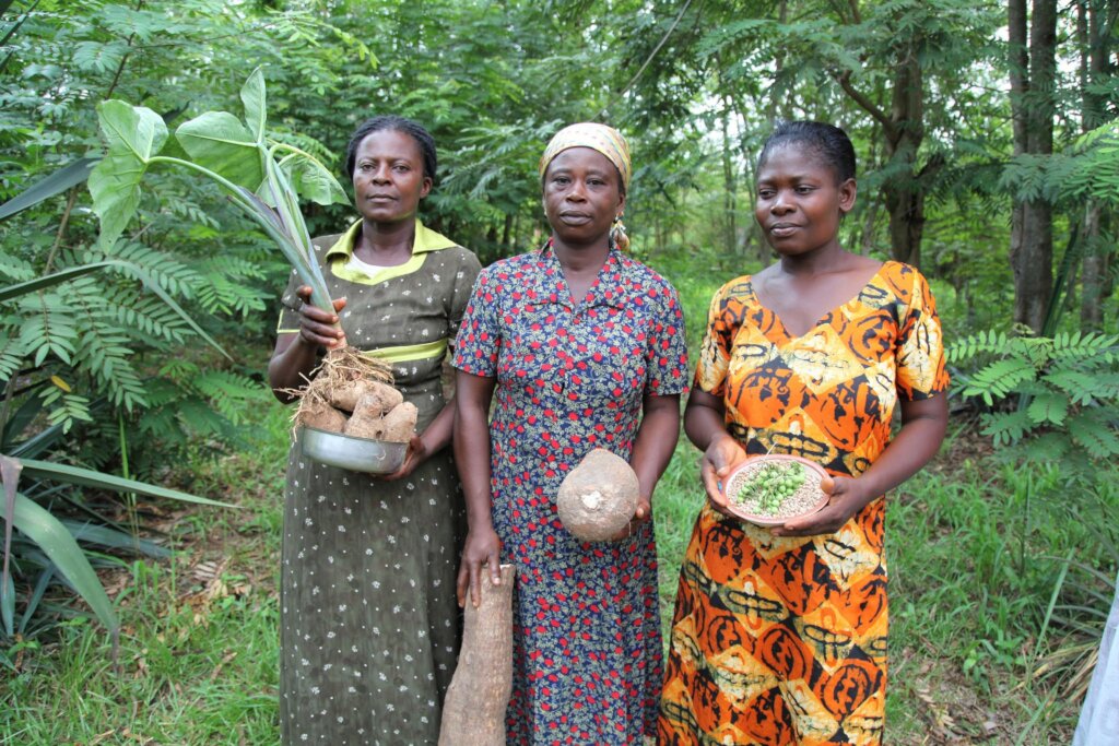 Global Empowerment:Transforming Lives with Dignity