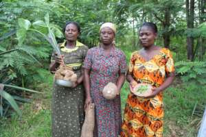 Global Empowerment:Transforming Lives with Dignity