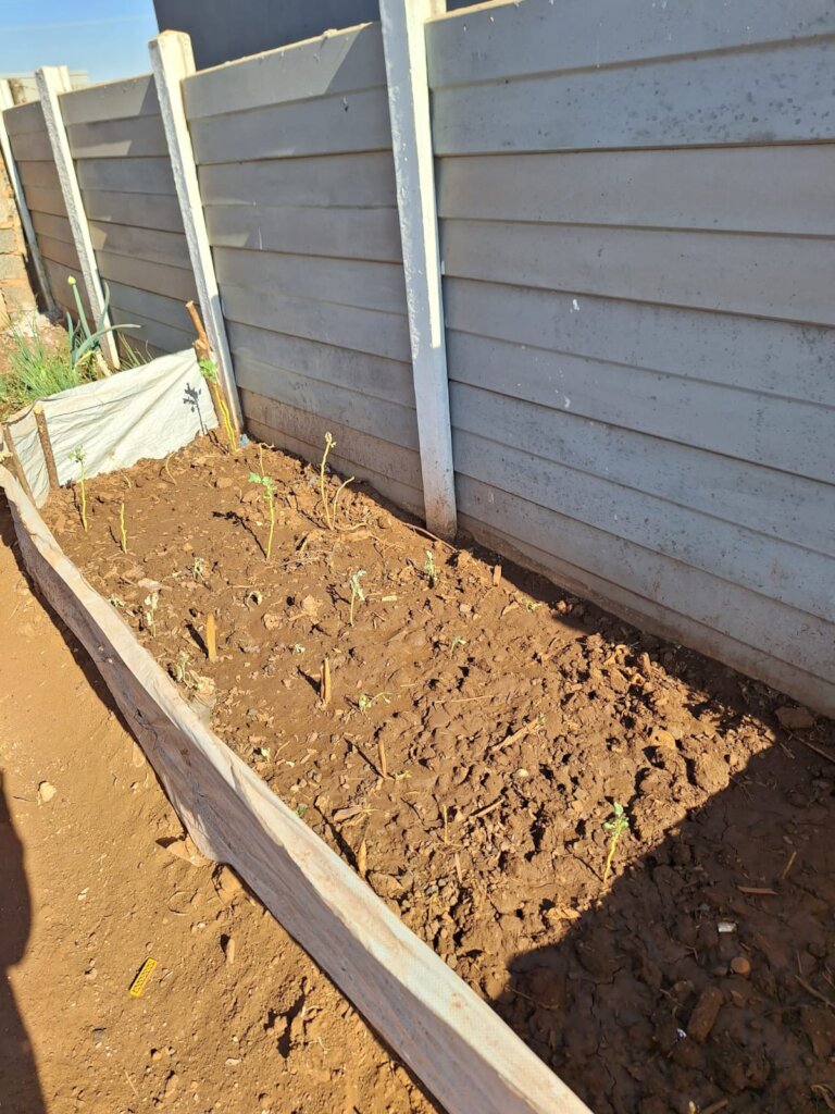 Help this Vulnerable Family!