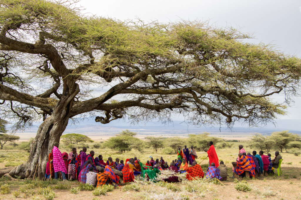 Community Education: Kope Lion