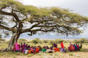 Community Education: Kope Lion