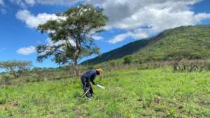 Veld Management
