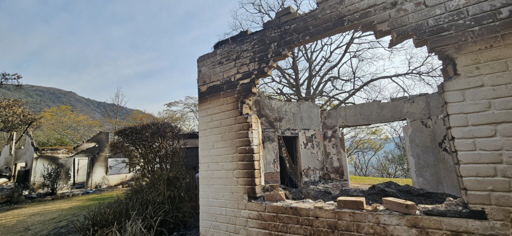 Help Wide Horizons rise from the ashes