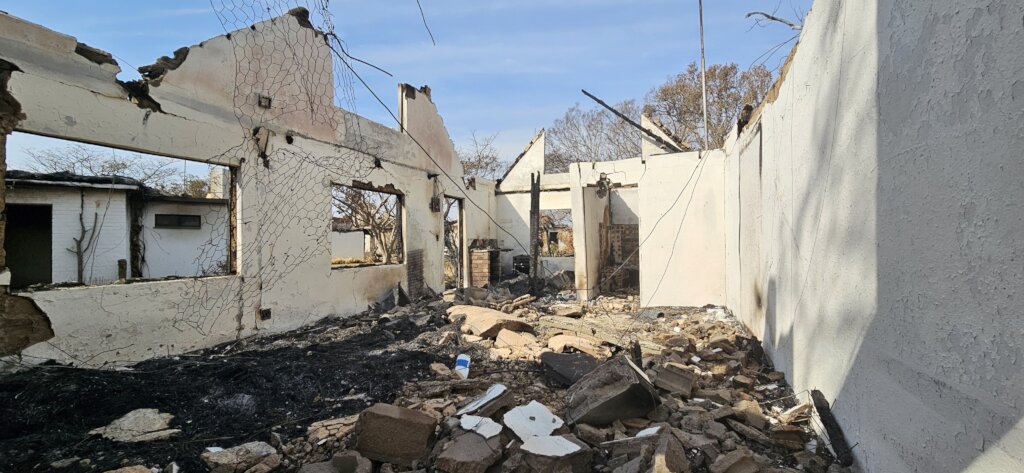 Help Wide Horizons rise from the ashes