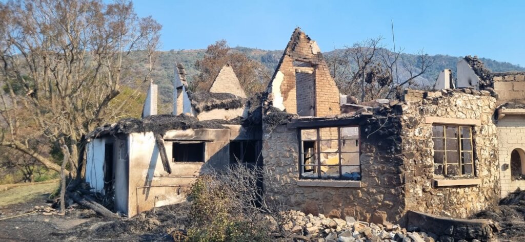 Help Wide Horizons rise from the ashes