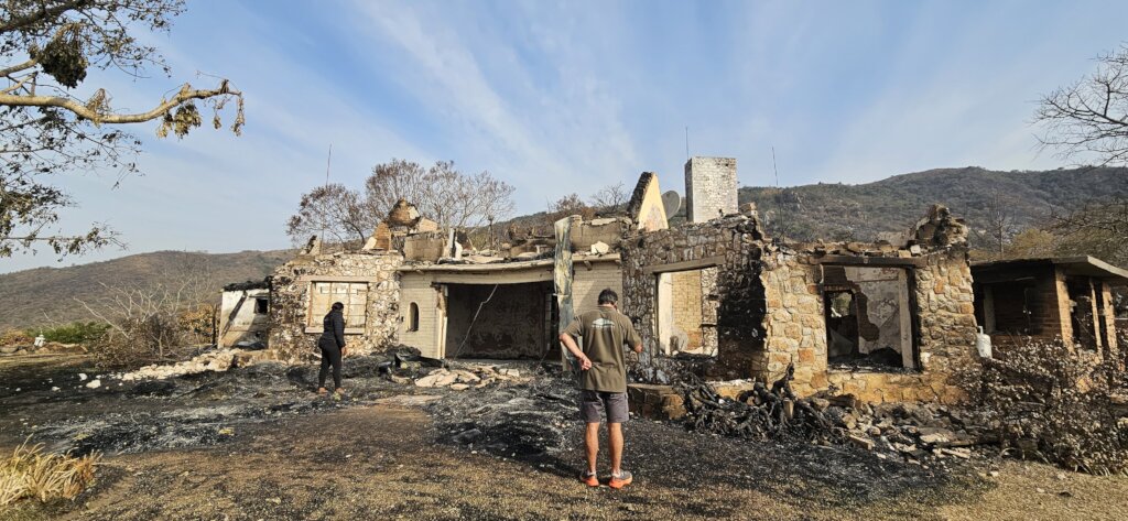 Help Wide Horizons rise from the ashes