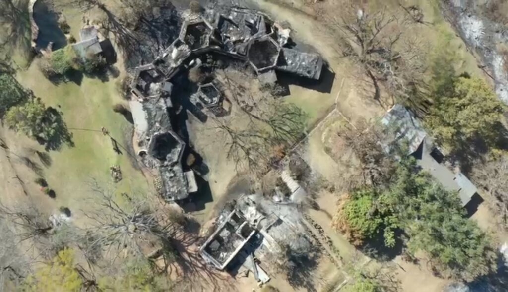 Help Wide Horizons rise from the ashes