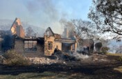 Help Wide Horizons rise from the ashes