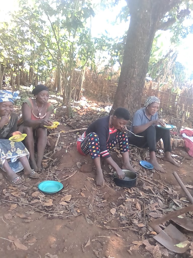 Empower Women in Rural Cameroon - Palm Oil Project