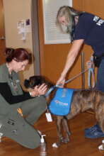 Therapet Waverly at Christus TMF Hospital