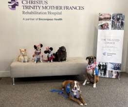 Puff Puff, Scrappy, Penny, Coco, Roux, & LolaBella