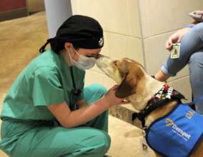 Therapet: Animal Assisted Therapy