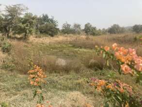 Area where fishpond will be dug