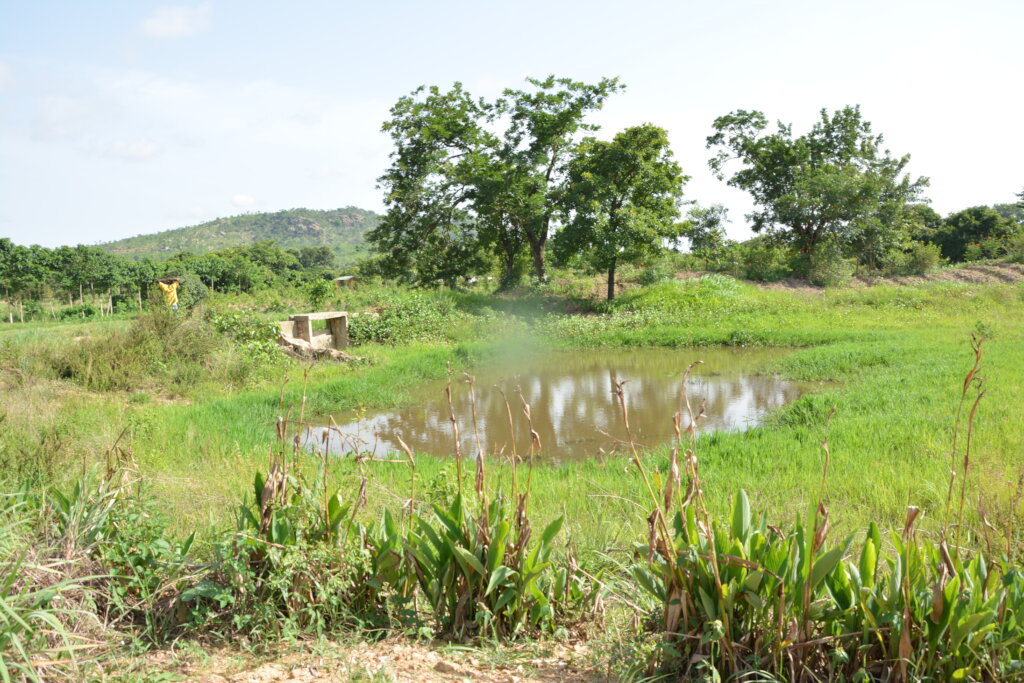 Organic Fish Farm Training