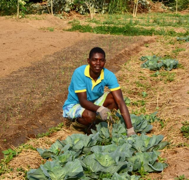 Organic Fish Farm Training