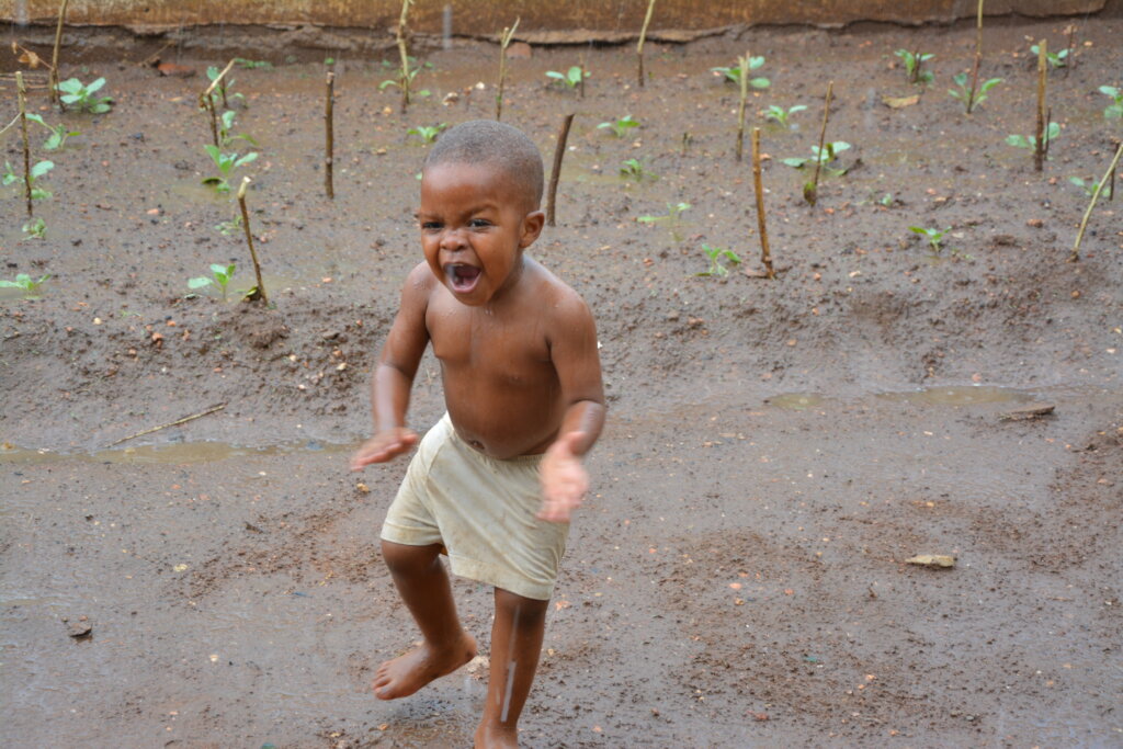 Organic Fish Farm Training