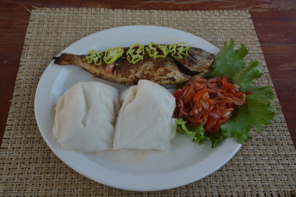 Organic Fish Farm Training