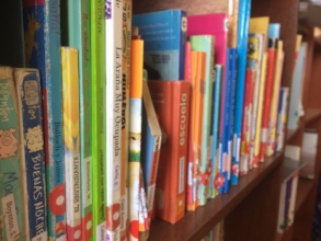 Our library is getting organized!