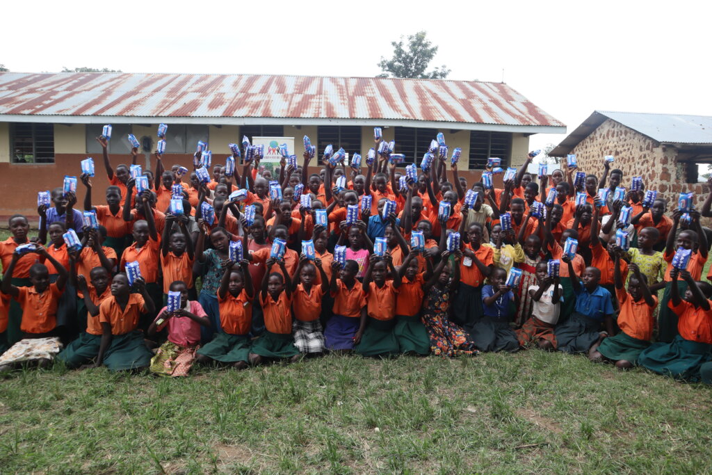 Provide emergency sanitary pads to school girls