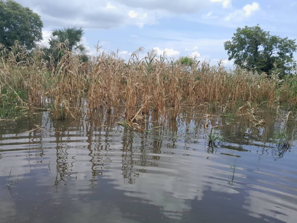 Provision of water treatment solution for IDPs