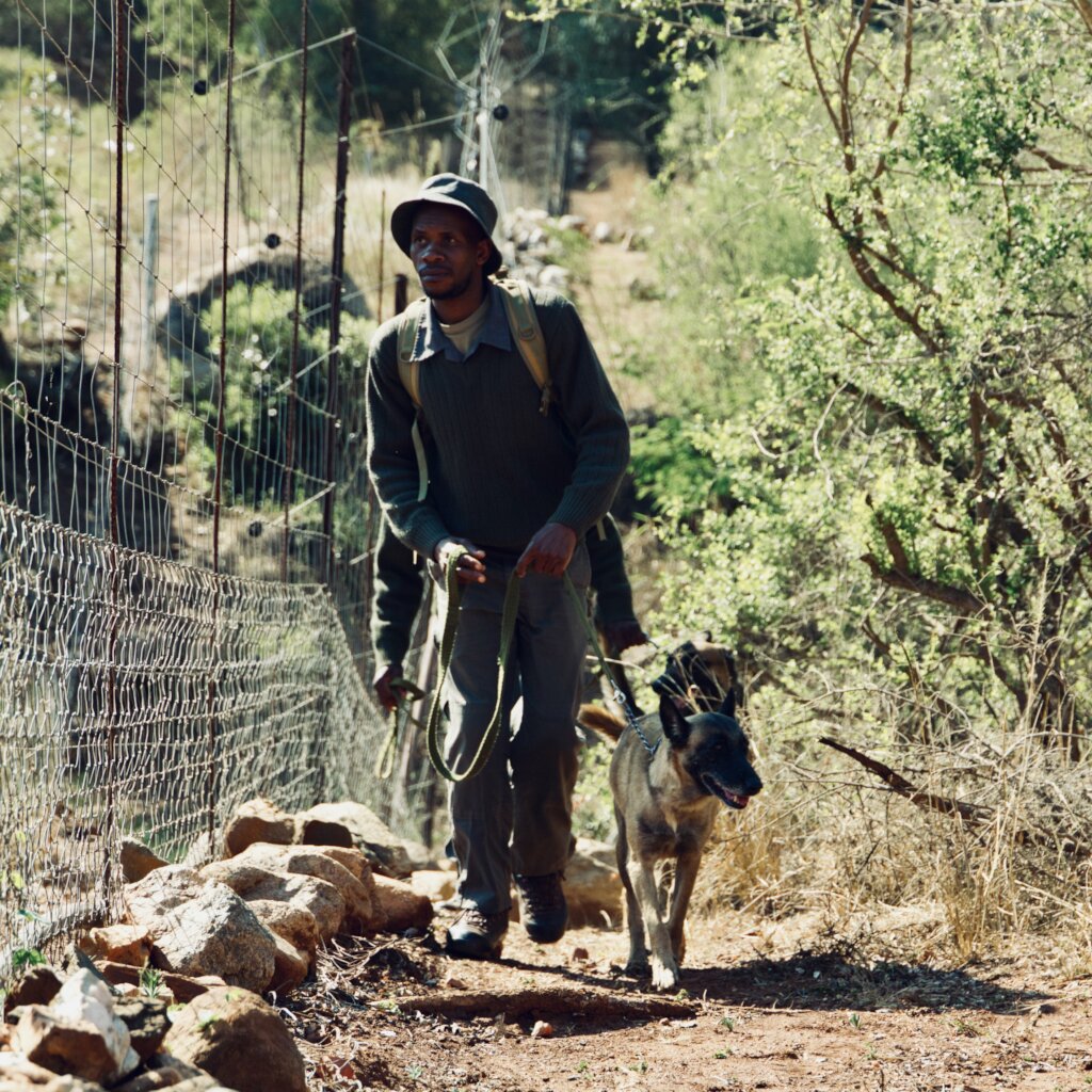 World Ranger Day 2024 - Support Rhino Rangers