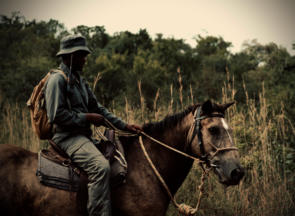 World Ranger Day 2024 - Support Rhino Rangers