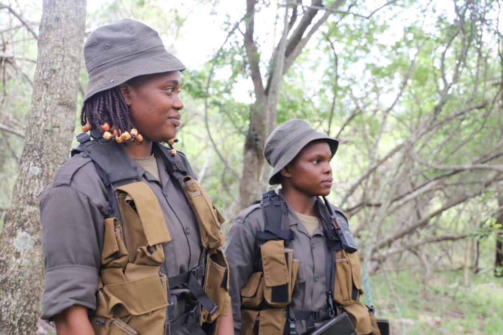 World Ranger Day 2024 - Support Rhino Rangers